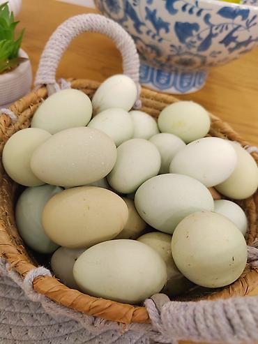 distillə olunmus su: Mavi-yaşıl çalarlı toyuq yumurtaları - Təbii rəngli (açıq mavi, açıq — 3