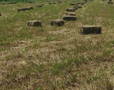 soya yemi: Preslənmiş ot tayları satılır. Bu ot tayları heyvanlar üçün qidalı və