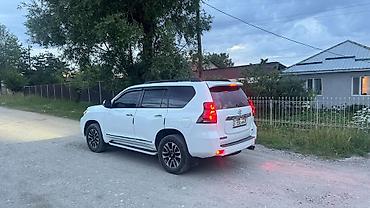 титан рекс: Сдается в аренду посуточно Toyota Land Cruiser Prado 150 — 2