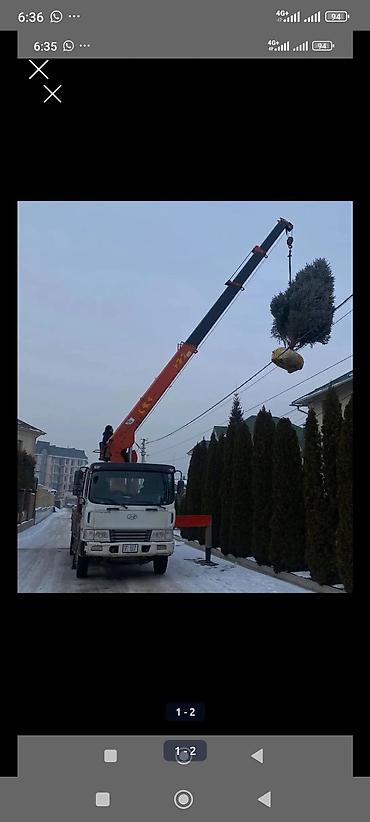 манипуляторы токмок: Манипулятор — 1