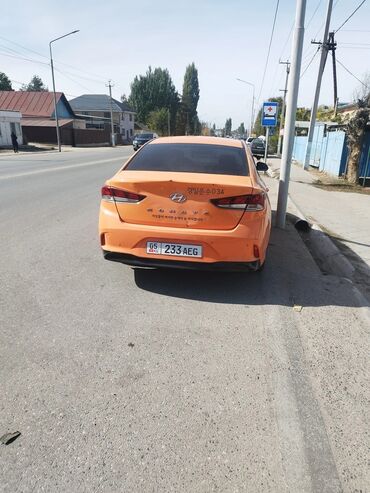 Hyundai: Hyundai Sonata: 2019 г., 2 л, Автомат, Бензин, Седан — 6