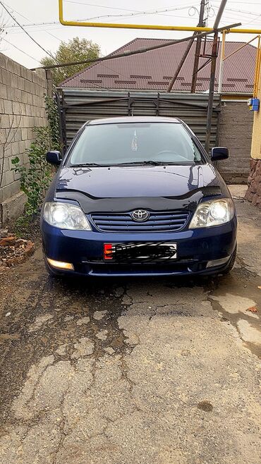 тайото каролла: Toyota Corolla: 2005 г., 1.6 л, Автомат, Бензин, Седан