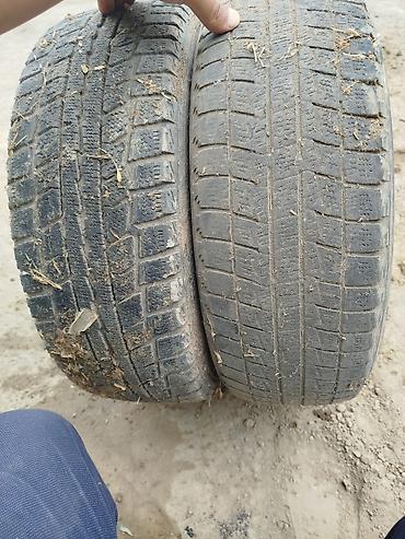 195 65 14 с: Пара зимних шин Dunlop - Модель: Dunlop Graspic (Studless) - Размер — 1