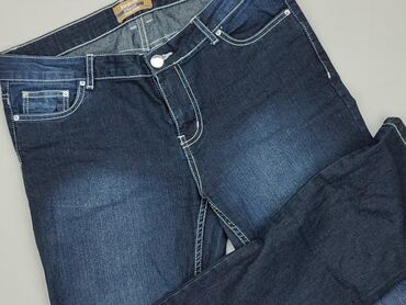 dżins tkanina: Jeans, Janina, L (EU 40), condition - Perfect