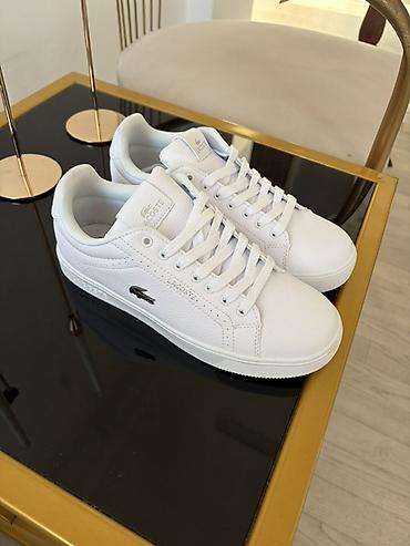 lacoste кроссовки: Мужские кроссовки, 36, 36.5, 37, Lacoste, Новый, цвет - Белый — 2