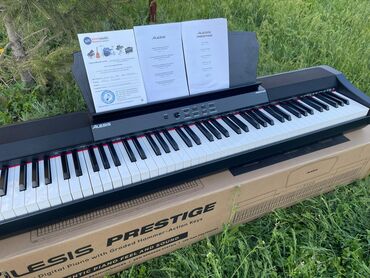 Музыкальные инструменты: СРОЧНО ПРОДАЮ Цифровое фортепьянно Модель:Alesis Prestige Купила в