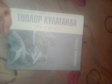 Другие аксессуары: Чынгыз Айтматов название Тоолор Кулаганда на Кыргыском языке