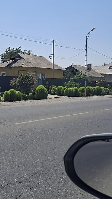 green leaf: Чон пайдалуу жумушка инвестор издейм чалыныздар суйлошобуз — 1