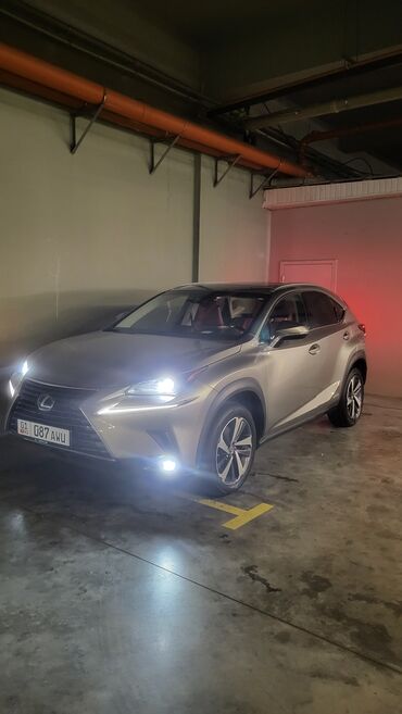 Lexus: Lexus NX: 2018 г., 2.5 л, Автомат, Гибрид, Кроссовер — 5