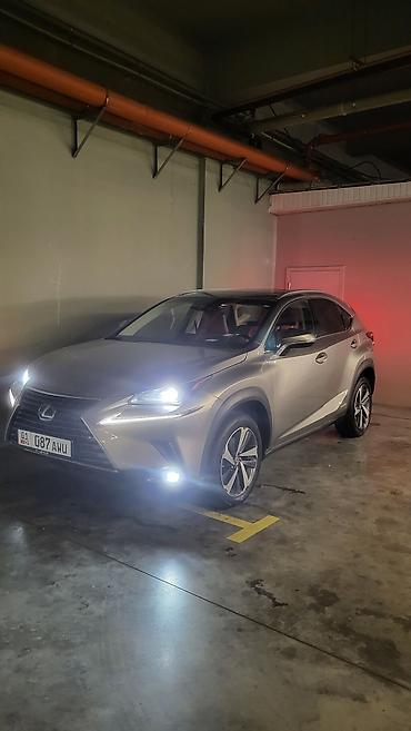 Lexus: Lexus NX: 2018 г., 2.5 л, Автомат, Гибрид, Кроссовер — 7
