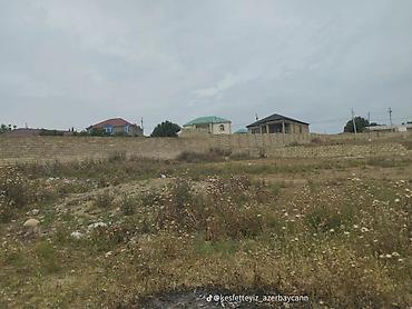 sarayda torpag: 9 sot, Tikinti, Maklerlər narahat etməsin, Kupça (Çıxarış) — 5