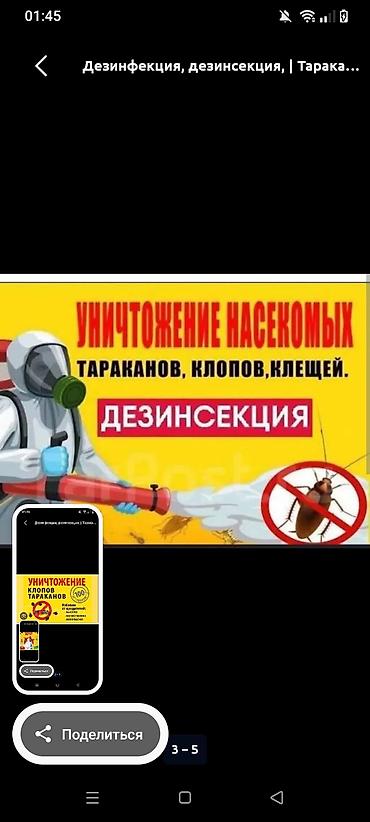 ветеринар на дом: Дезинфекция, дезинсекция, | Клопы, | Квартиры — 3