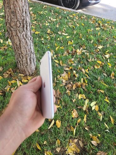 Apple iPhone: IPhone SE, 128 GB, Ağ, Barmaq izi -da lalafo.az — 8 Apple iPhone: IPhone SE, 128 GB, Ağ, Barmaq izi — 8
