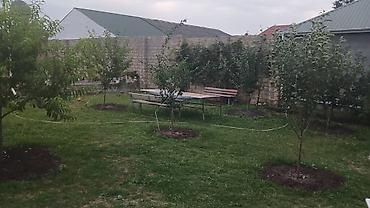 bina az xirdalan kohne tikili: 3 otaqlı, 95 kv. m, Kredit yoxdur, Yeni təmirli — 5