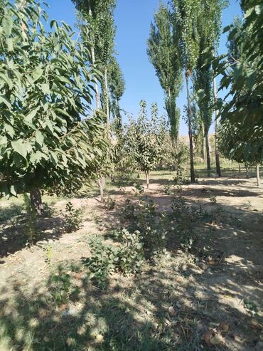 Продажа участков: 300 соток, Для сельского хозяйства, Красная книга — 8