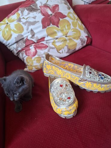 qaşlı kupalnik: Baletkalar, Ölçü: 38, Yeni