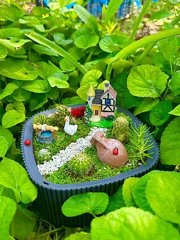 Bitkilər üçün dibçəklər: Miniatür sukulent/teraryum kompozisiyası – “Bağ evciyi” mövzulu - — 1