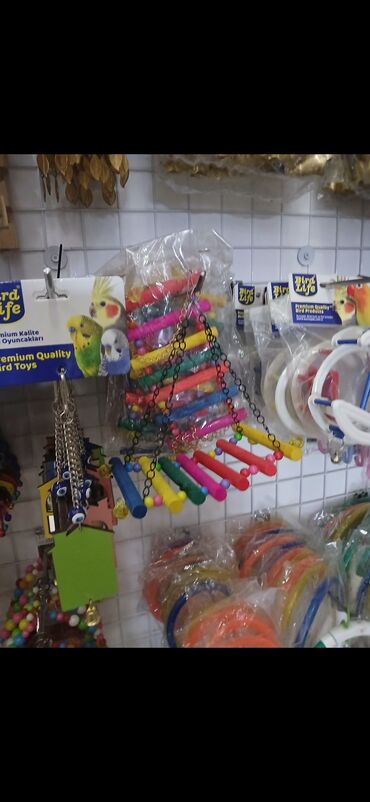 Qəfəslər: Yeni ve böyük qefesler var satişda yeni qəfəslərdi hər növdə var — 9