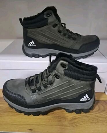 terrex cipele: Shoes, Adidas, size - 45