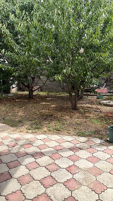 Продажа коттеджей и домов: 6 комнат, 128 м², 5 соток, Новопавловка, Собственник — 29