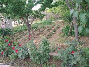 Həyət evləri və villaların satışı: 5 otaqlı, 176 kv. m, Yeni təmirli — 28