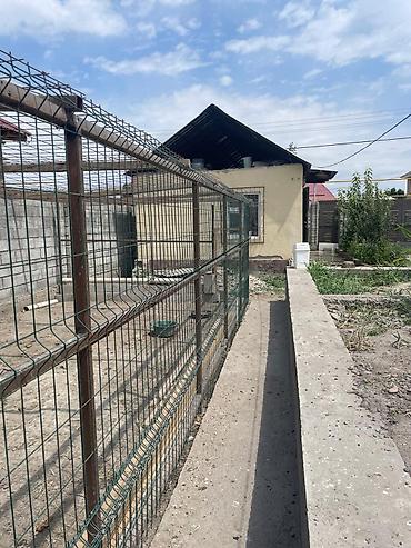 Продажа коттеджей и домов: Собственник. агенство не беспокойте. Продаётся дом с мебелью at lalafo.kg — 10 Продажа коттеджей и домов: Собственник. агенство не беспокойте. Продаётся дом с мебелью — 10