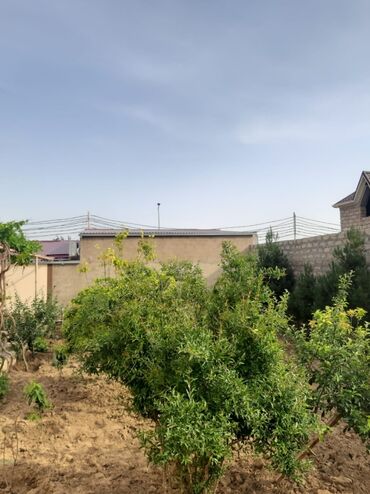 Bağ evlərinin satışı: Bakı, Bilgəh qəs., 350 kv. m, 6 otaqlı, İnternet, Telefon, Qaz — 11