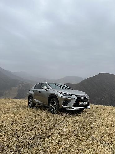Lexus NX: 2019 г., 2 л, Автомат, Бензин