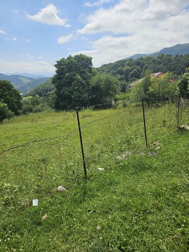 Torpaq sahələrinin satışı: Satış: Dağ mənzərəli torpaq sahəsi - Yaşıllıqla əhatəli, sakit təbiət — 3