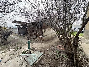 вогон дом: Продаю дом, красная книга, отопление электрическое и на угле, частично — 6
