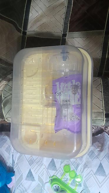 heyvan sikisi: Xırda gəmiricilər üçün plastik qəfəs dəsti - Şəffaf qapaqlı, sarı — 1