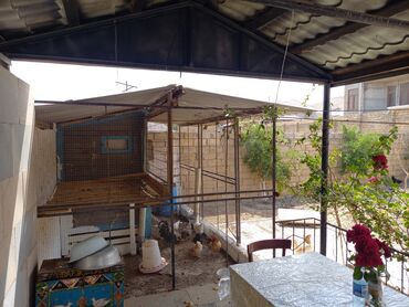 Həyət evləri və villaların satışı: Satışa təqdim olunur: həyəti və bağ sahəsi olan iki mərtəbəli fərdi — 18