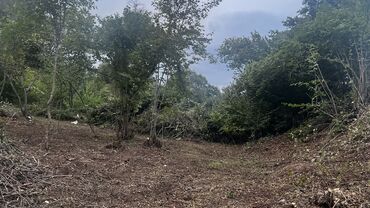 Torpaq sahələrinin satışı: 10 sot, Tikinti, Kupça (Çıxarış) — 12