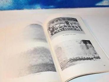 izjava da nije koriscen pdv primer: Kulturna i sportska društva u krupnju 2aleksandar djurdjev1995 — 6