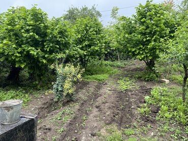 Torpaq sahələrinin satışı: 7 sot, Tikinti, Mülkiyyətçi, Kupça (Çıxarış) -da lalafo.az — 14 Torpaq sahələrinin satışı: 7 sot, Tikinti, Mülkiyyətçi, Kupça (Çıxarış) — 14