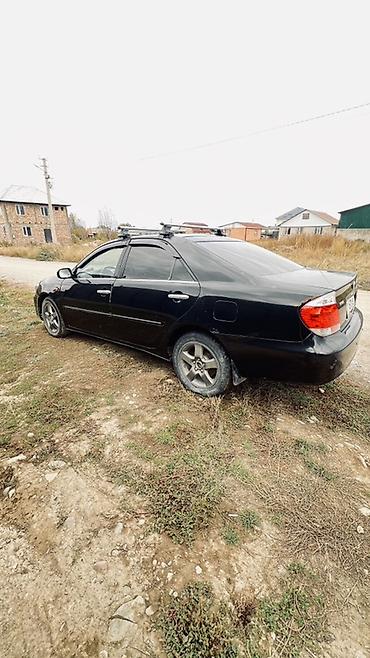 Toyota: Toyota Camry: 2005 г., 2.4 л, Автомат, Бензин, Седан — 5