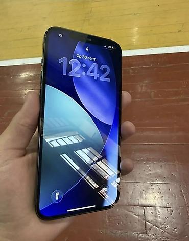 IPhone 12 Pro Max, Б/у, 256 ГБ, Графит
