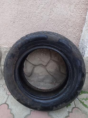 e5 olom: Шина летняя 1 шт- Размер: 175/65 R14 1500 сом — 1