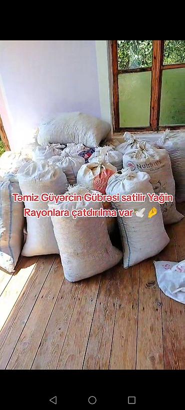 dəniz məhsulları satışı: Məhsul: Təmiz göyərçin gübrəsi Təsvir: - Təbii, qidalı orqanik gübrə — 1