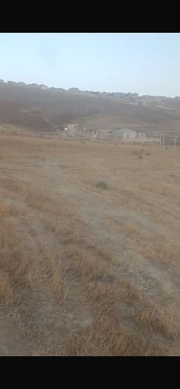 kupcali torpaqlar satisi: 16 sot, Kənd təsərrüfatı, Mülkiyyətçi, Kupça (Çıxarış) — 3