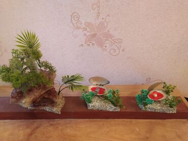Akvarium dekorları