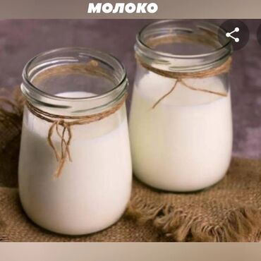 Молочные продукты и яйца: Продаю козье молоко. вкусное. без запаха. козы со справками