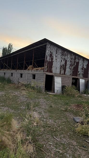 Продажа коттеджей и домов: Продаётся животноводческая ферма (сарай) в отличном месте! 📍 Удобное — 8