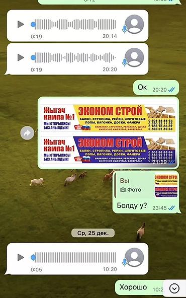 Печать: Широкоформатная печать, | Баннеры — 12