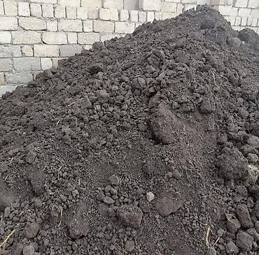 qara torpaq ve peyin: Məhsul: Qara torpaq (landşaft və bağçılıq üçün) Təsvir: - Təbii, qida — 3