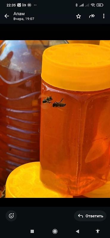 некая: 🍯Токтогульский Горный Майский Мёд (Разнотравье) — Ваш природный — 2
