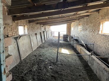 Продажа домов: Дом, 180 м², 4 комнаты, Собственник, Дизайнерский ремонт — 20