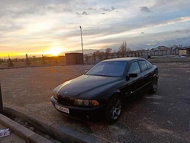 ауди сз: BMW 5 series: 2001 г., Механика, Седан — 3