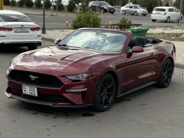 шины бу бишкек оптом: Ford Mustang: 2018 г., 2.3 л, Автомат, Бензин, Кабриолет