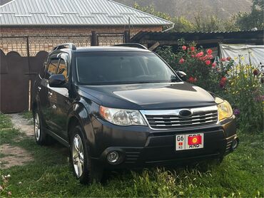 Subaru Forester: 2008 г., 2.5 л, Автомат, Бензин, Кроссовер